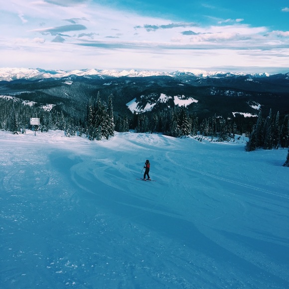 Meet your Posher, Maddy - Picture 1 of 1